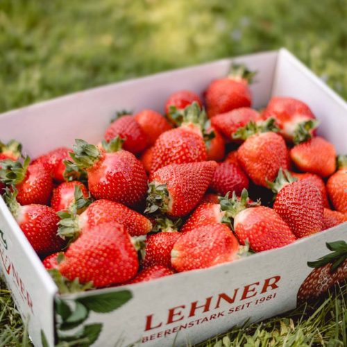 Lehner Erdbeeren