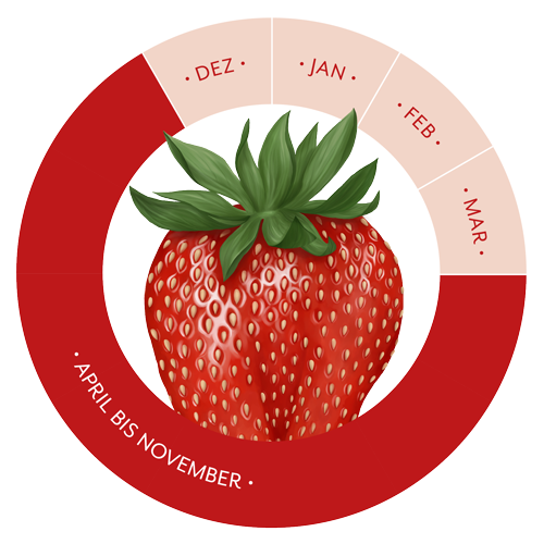 Saison Erdbeeren