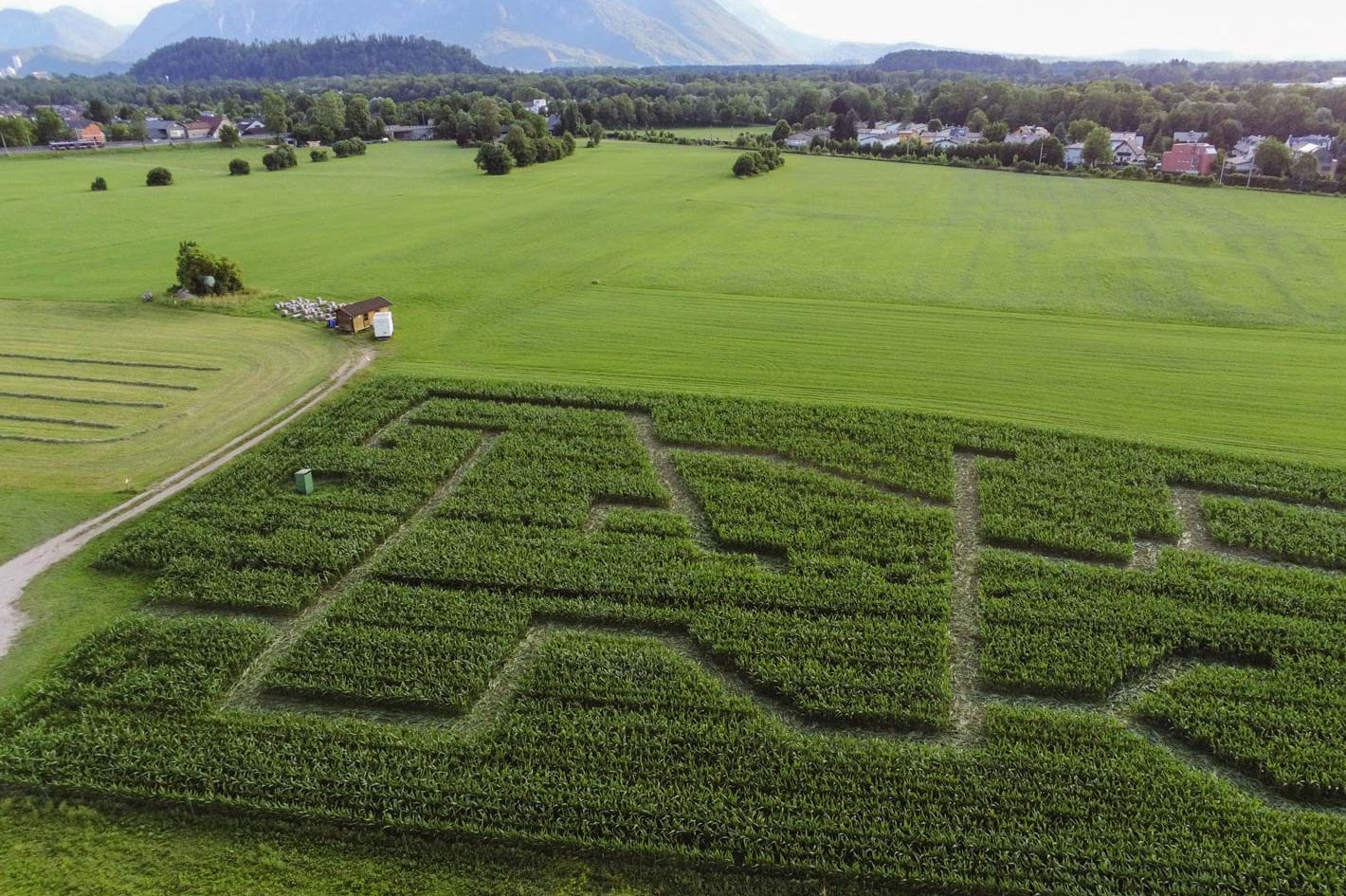 Maislabyrinth Salzburg