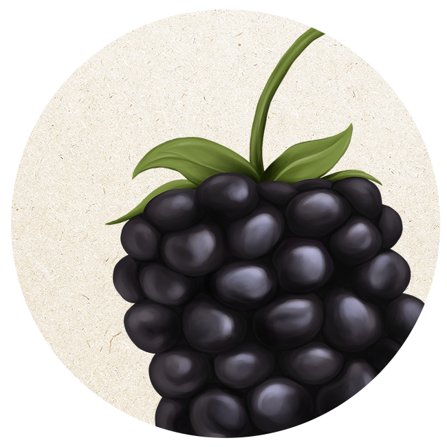 Selberpflücken Haag - Lehners Beeren