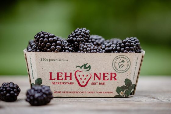 Lehner Brombeeren