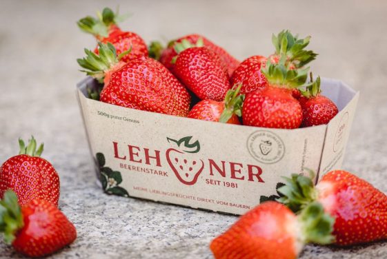 Lehner Erdbeeren