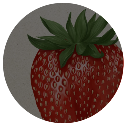 Erdbeeren-selber-pfluecken-geschlossen