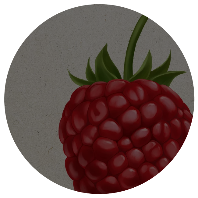 Selberpflücken Haag - Lehners Beeren