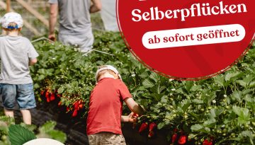 selberpflueckenweb