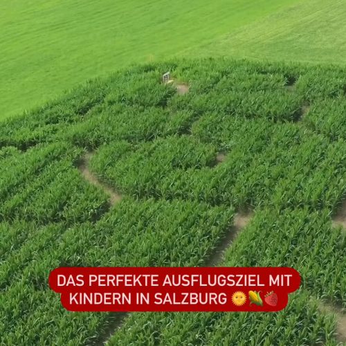 ausflugstippmitkindersalzburg