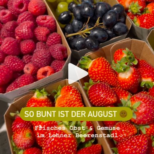 buntaugust