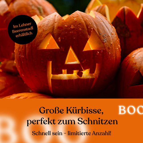 Halloween Kürbis