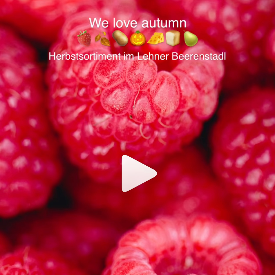 herbstsortiment-himbeeren