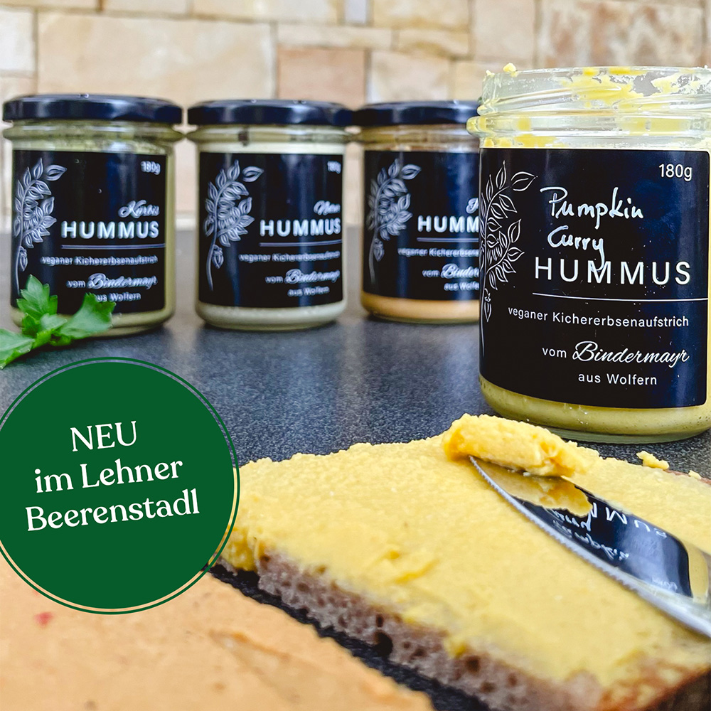 hummus-im-lehnerbeerenstadl