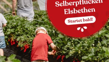 selberpflueckensbg Kopie 2