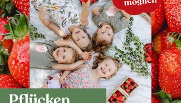pflueckenohnebuecken2.0-webf pflueckenohnebuecken2.0-webf