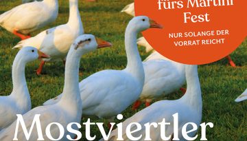 2024_10_01_weidegans-posting-web