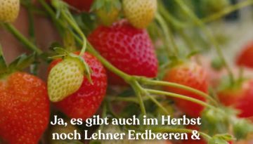 erdbeerenherbst