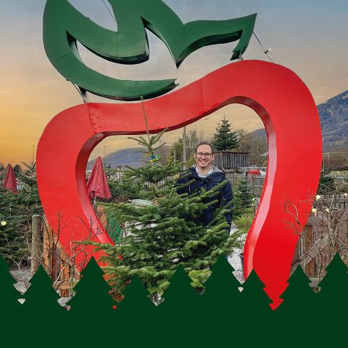 werbeanzeige-weihnachten