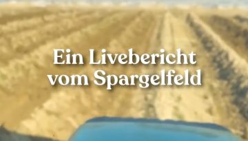 spargelfeld