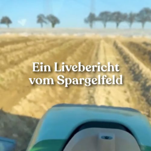 spargelfeld