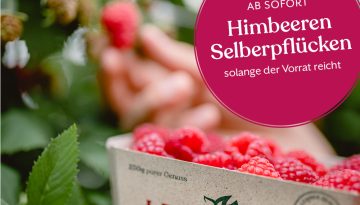himbeeren-web