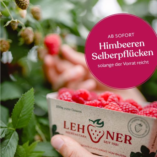 himbeeren-web