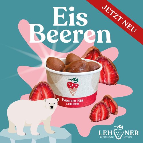 2026_08_06_eisbeeren-web