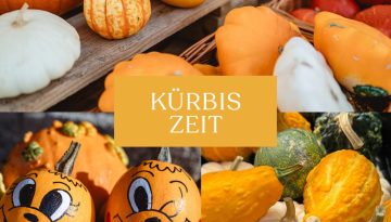 Aktuelles Kuerbis