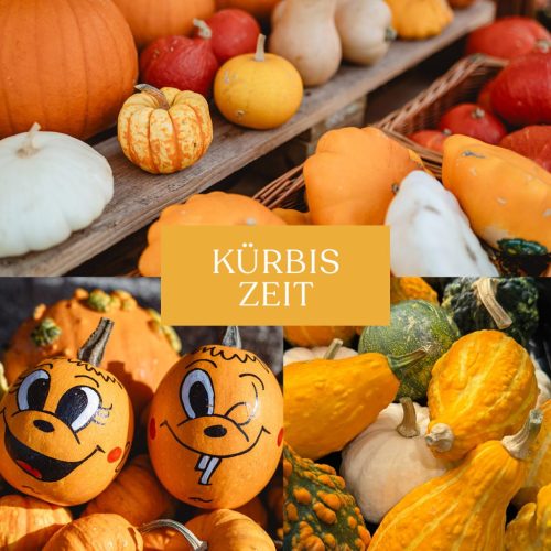 Aktuelles Kuerbis